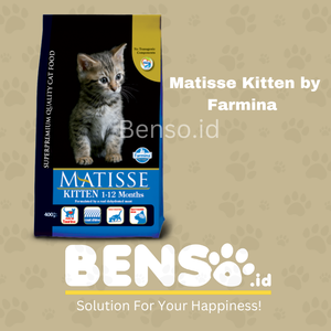 Matisse Kitten 1kg