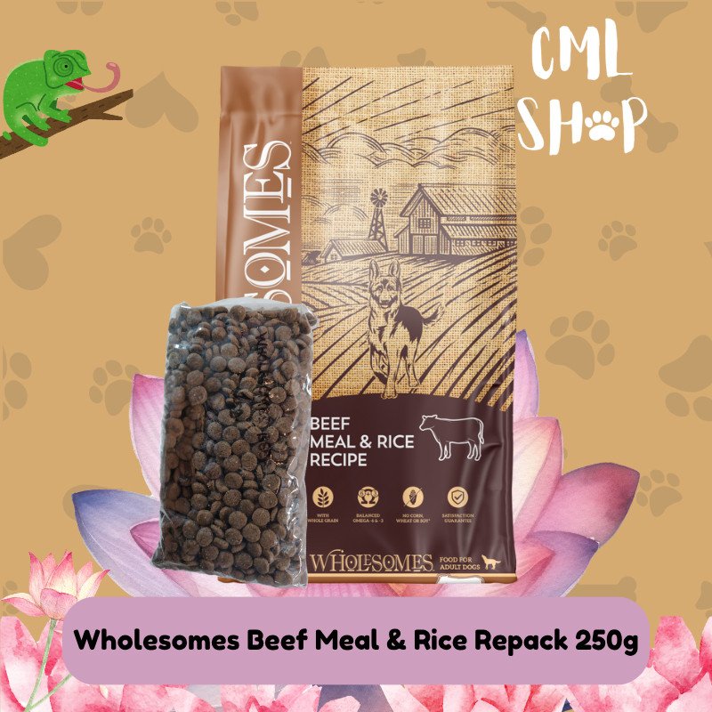 Wholesomes Beef 250g