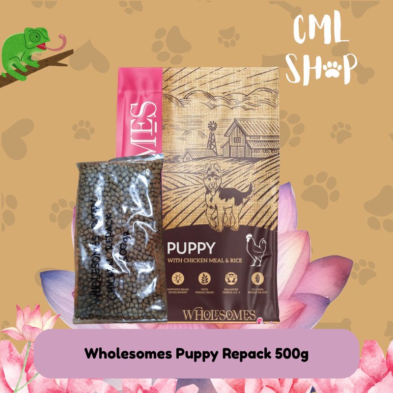 Wholesomes Puppy Repack 500g