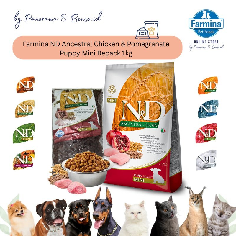 FARMINA ND ANCESTRAL CHICKEN & POMEGRANATE PUPPY MINI REPACK 1KG