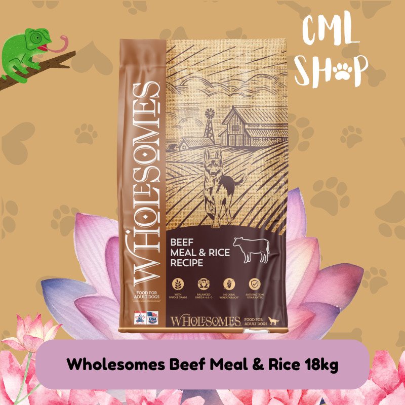 Wholesomes Beef 18kg