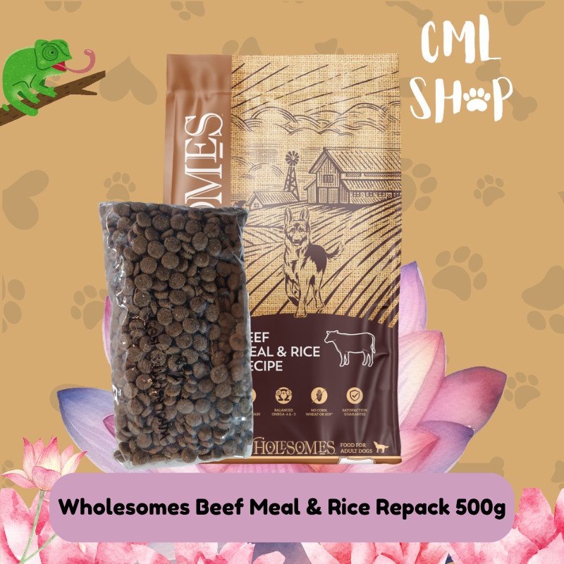 Wholesomes Beef 500g