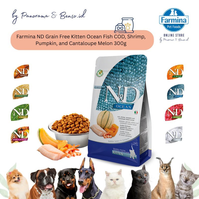 Farmina ND Grain Free Kitten Ocean Fish COD, Shrimp, Pumpkin And Cataloupe Melon 300g