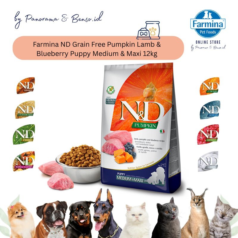 FARMINA ND GRAIN FREE PUMPKIN LAMB & BLUEBERRY PUPPY MEDIUM & MAXI 12Kg