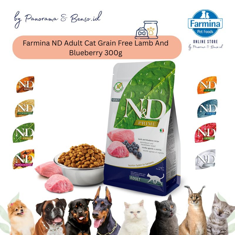FARMINA ND ADULT CAT GRAIN FREE LAMB AND BLUEBERRY 300gr