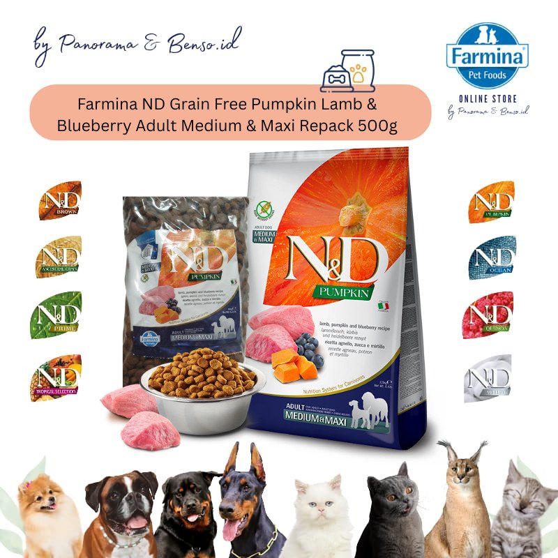 FARMINA ND GRAIN FREE PUMPKIN LAMB & BLUEBERRY ADULT MEDIUM & MAXI REPACK 500Gr