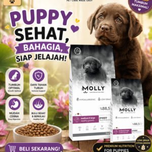 Dogfood - Molly Dog Medium Large Puppy Healthy Growth Lamb & Blueberry Freshpack 2kg - Dry Food for Dog